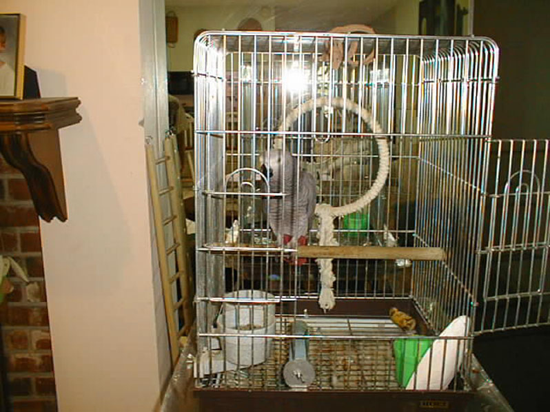 image09