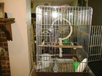 image09