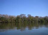IMG_0070