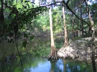 IMG_0054