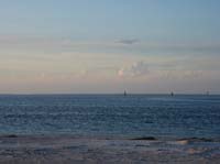 IMG_0010